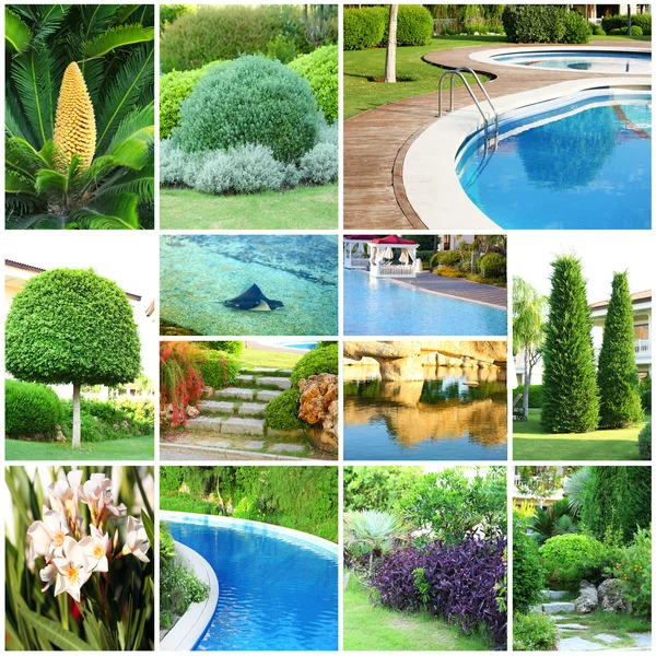 Collage of beautiful nature landscaping — Stock Photo, Image