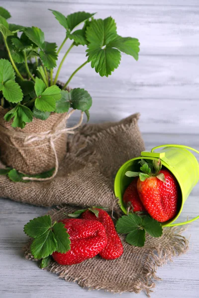 草莓有叶子的麻布餐巾，木制的背景上 — 图库照片