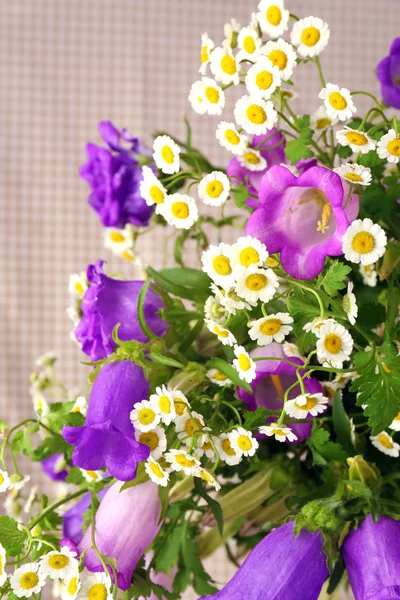 Vackra vilda blommor på tyget bakgrund — Stockfoto