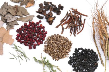 geleneksel Çin Bitkisel Tıp malzemeleri, yakın çekim