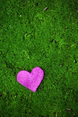 çimenlerin üzerinde kalp