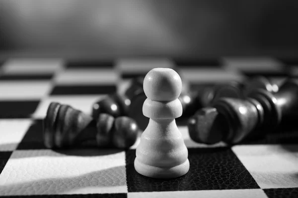 Chess board with chess pieces — Stock Photo, Image