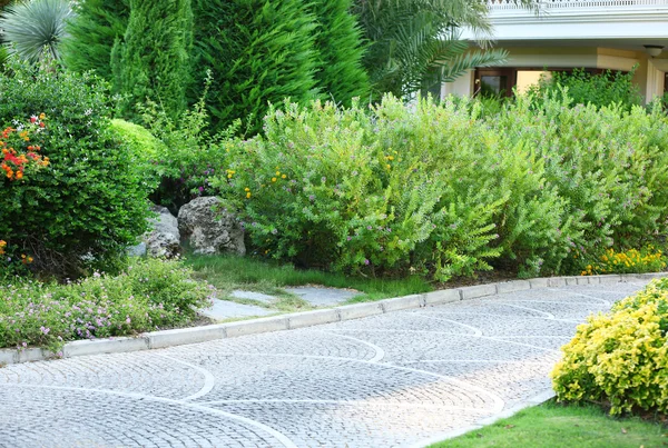 Hermoso paisaje en el parque — Foto de Stock