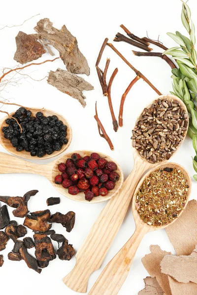 Traditional chinese herbal medicine ingredients, close-up — Stock Photo, Image