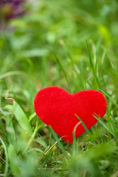 Heart on grass — Stock Photo, Image