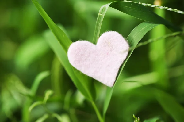 Corazón sobre hierba —  Fotos de Stock