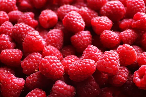 Ripe sweet raspberries close-up Stock Image