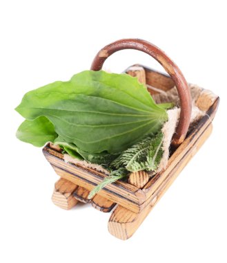Medicinal herbs in wooden basket isolated on white clipart