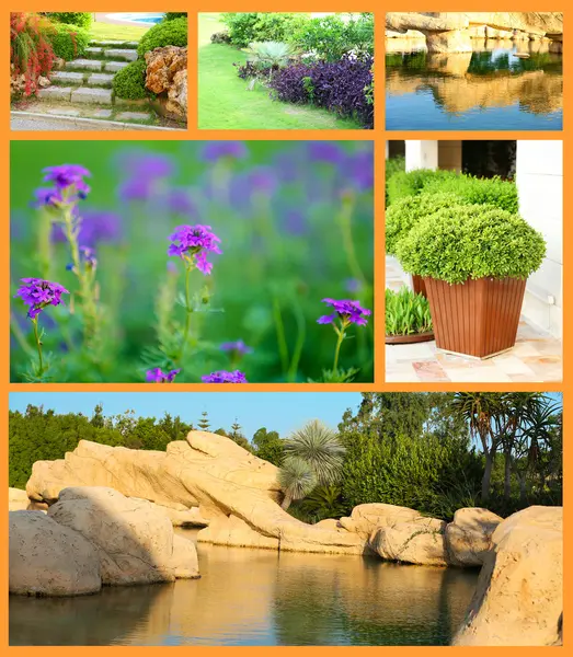 Collage of nature landscaping — Stock Photo, Image