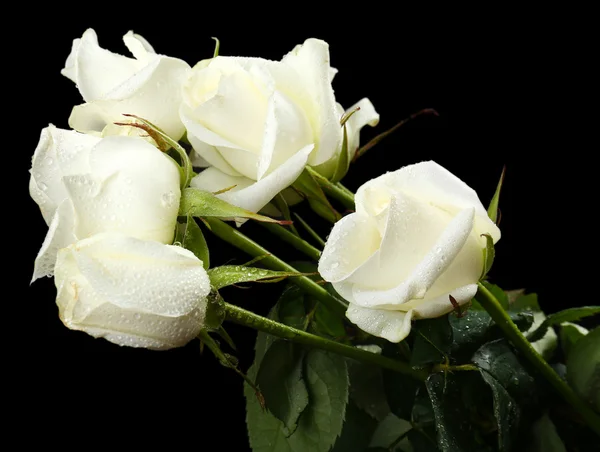 Букет красивых роз — стоковое фото