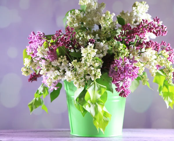 Flores lilás em vaso — Fotografia de Stock