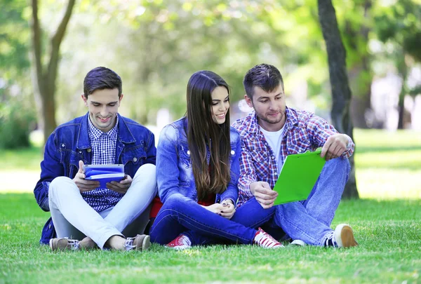 Estudiantes sentados en el parque — Foto de Stock