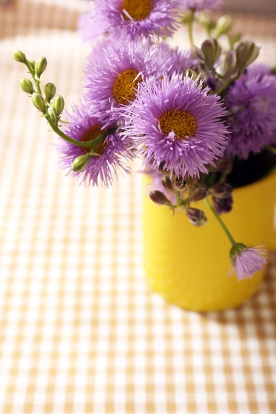 Hermosas flores silvestres —  Fotos de Stock