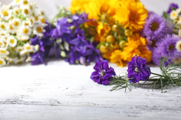 Beautiful wild flowers — Stock Photo, Image