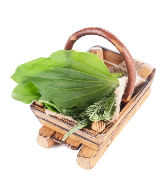 Medicinal herbs in wooden basket isolated on white — Stock Photo, Image