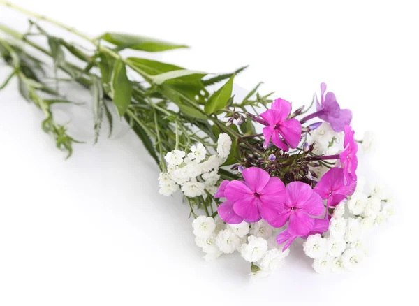 Beautiful Flowers  background — Stock Photo, Image
