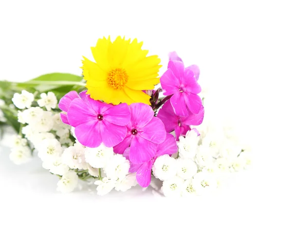 Schöne Blumen Hintergrund — Stockfoto