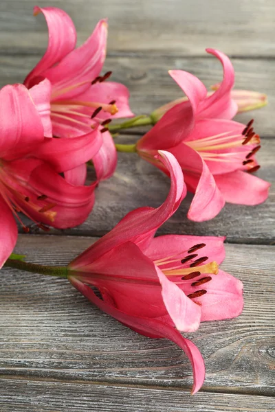 Beautiful lilies on wood — Stock Photo, Image