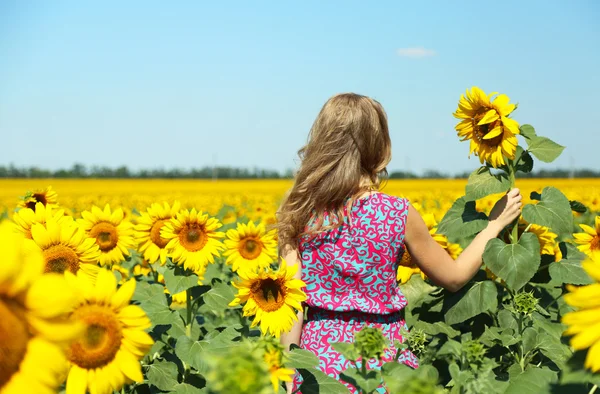 Jonge vrouw in zonnebloem veld — Stockfoto