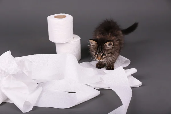 Gatinho bonito brincando com rolo de papel higiênico, em fundo cinza — Fotografia de Stock