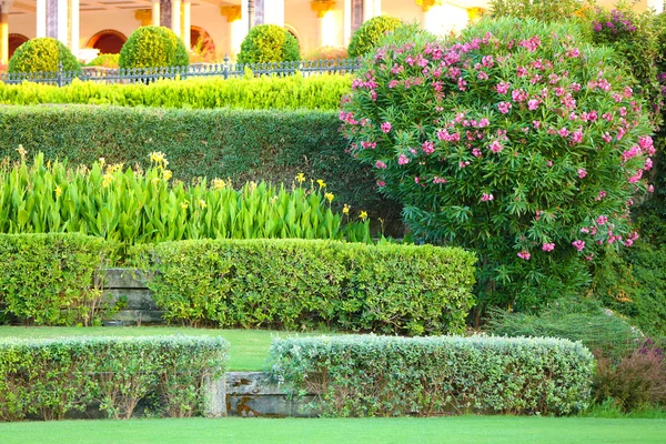 Schöne Landschaftsgestaltung im Garten — Stockfoto
