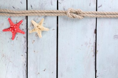 Deniz düğüm arka plan