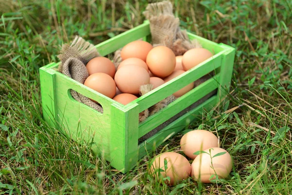 Huevos en caja de madera —  Fotos de Stock