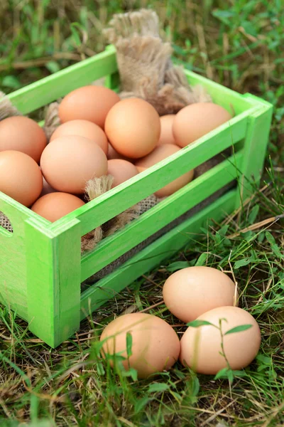 Huevos en caja de madera — Foto de Stock