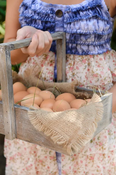 Ovos em cesta de madeira — Fotografia de Stock