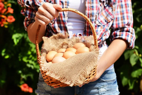 Eggs in wicker basket i Stock Photo