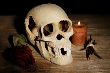 insan kafatası ile kurutulmuş gül yaprakları ve ahşap masa, üzerine de mum yakın çekim