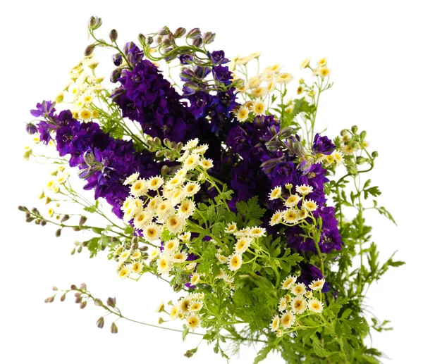 Mooie paarse bloemen geïsoleerd op wit — Stockfoto