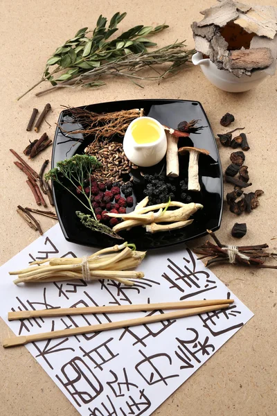 Chinese herbal medicine ingredients — Stock Photo, Image