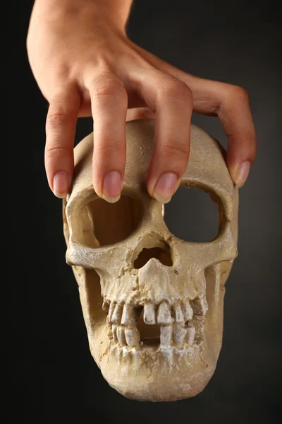 Human skull in hand — Stock Photo, Image