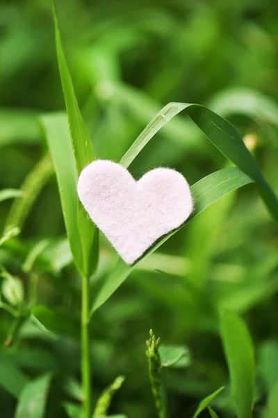 Forme du cœur sur l'herbe — Photo