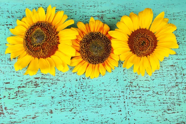 Beautiful sunflowers on wooden background — Stock Photo, Image