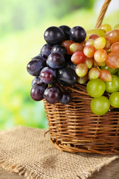 Ripe Grapes in basket — Stock Photo, Image