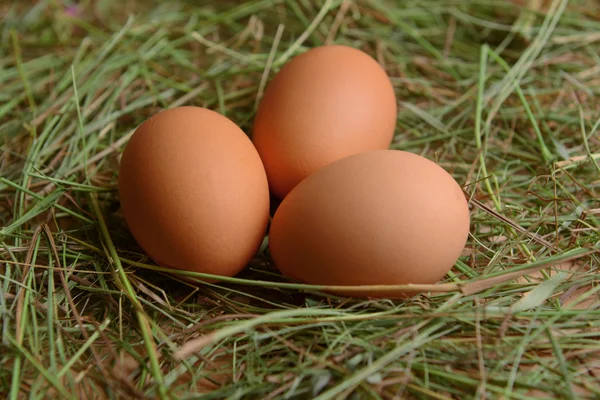 Яйца на столе крупным планом — стоковое фото