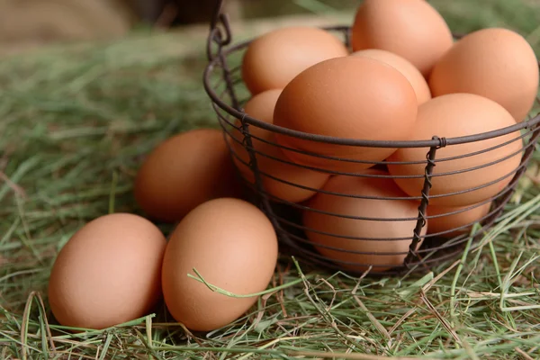 Eier im Weidenkorb auf dem Tisch in Großaufnahme — Stockfoto
