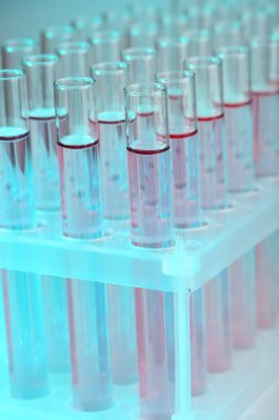 gri zemin üzerine sıvı ile test tüpleri