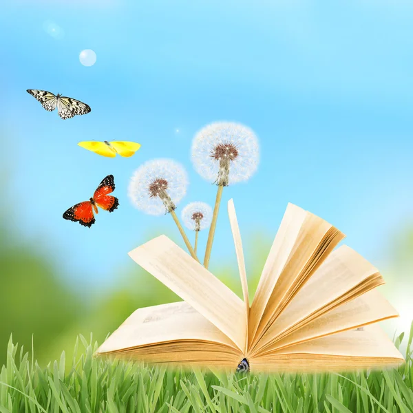 Old book with butterflies outdoors — Stock Photo, Image