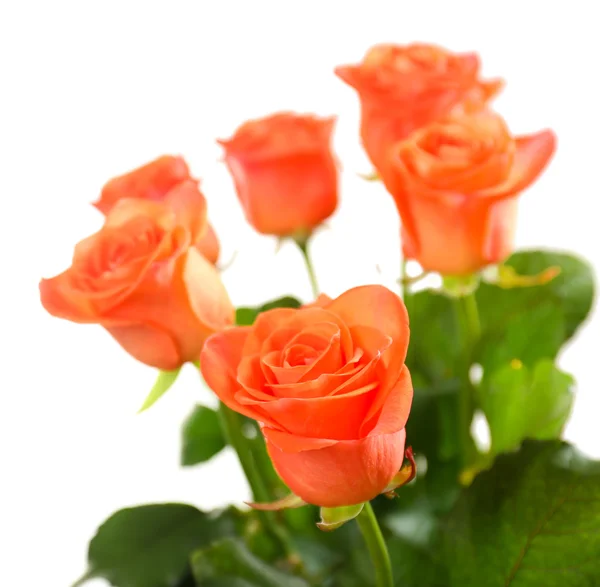 Ramo de hermosas rosas aisladas en blanco — Foto de Stock