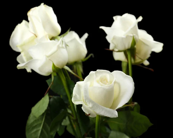 Strauß schöner Rosen auf schwarzem Hintergrund — Stockfoto