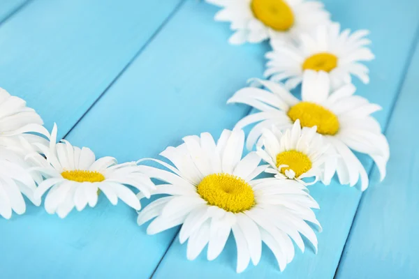 Chamomile wreath on blue wooden background — Stock Photo, Image