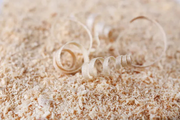 Wood shavings on sawdust closeup — Stock Photo, Image