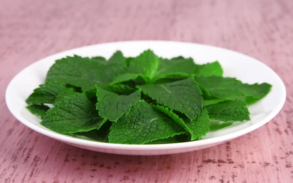 White round plate of fresh mint leaves on pink wooden background — Stock Photo, Image