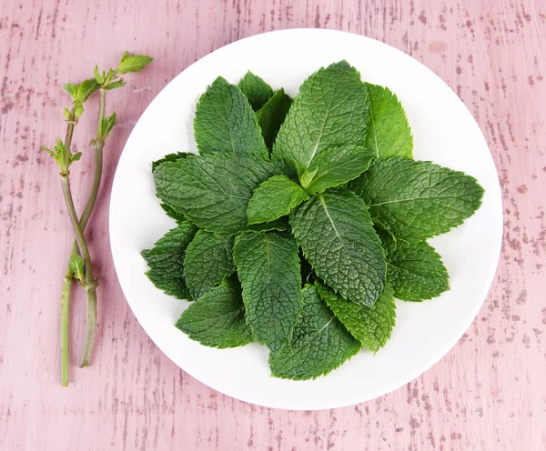 White round plate of fresh mint leaves on pink wooden background — Stock Photo, Image