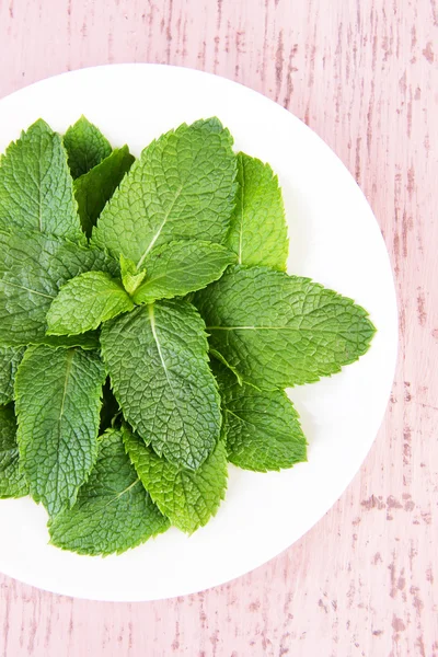 White round plate of fresh mint leaves on pink wooden background — Stock Photo, Image