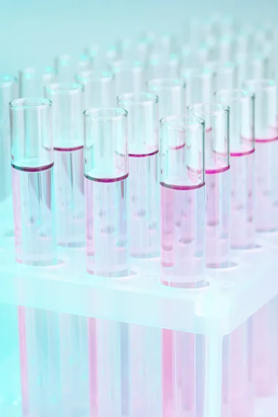 Test tubes with liquid on grey background — Stock Photo, Image