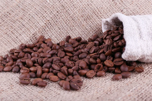 Coffee beans on sacking background — Stock Photo, Image